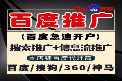 某品牌SEM广告投放的优化过程与效果